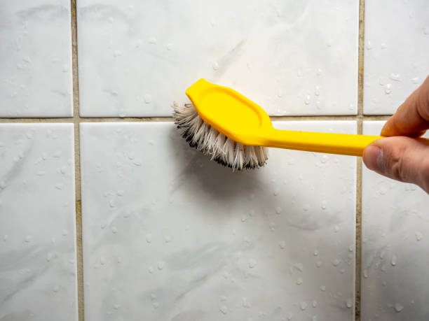 Best Mold Removal Near Me  in Burlingame, CA