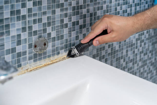 Best Fast Mold Removal  in Burlingame, CA