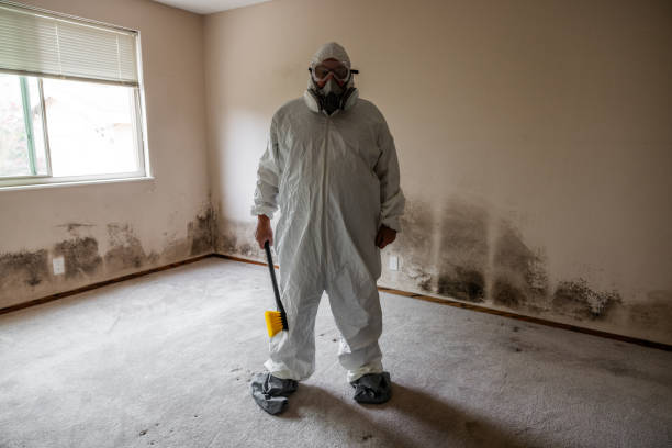 Best Mold Testing and Removal  in Burlingame, CA