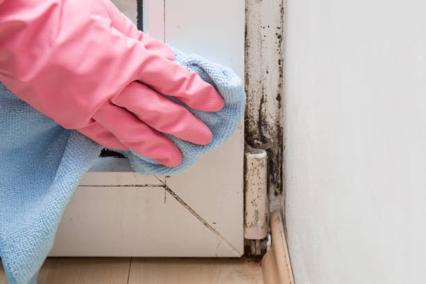 Best Water Damage Restoration  in Burlingame, CA